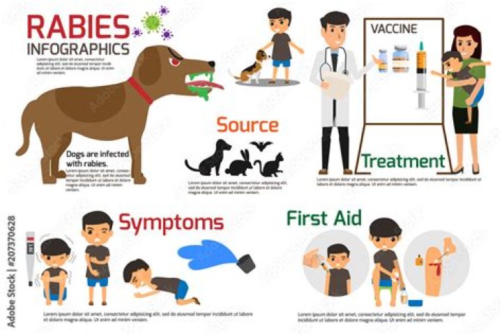 Can I take rabies vaccine after 48 hours?