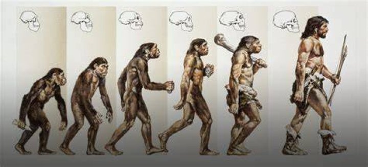 Did early humans have depression?
