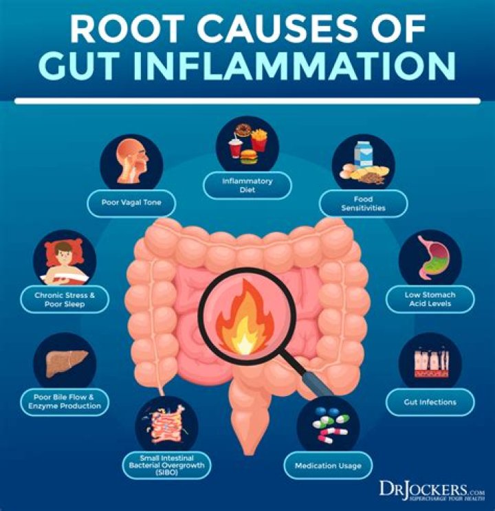 Does ginger heal the gut?