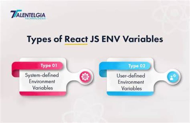 How env variables work React?