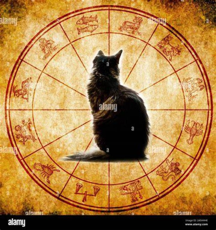 Is cat the 13th zodiac?