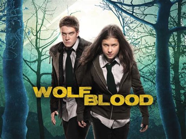Is Wolfblood a book?