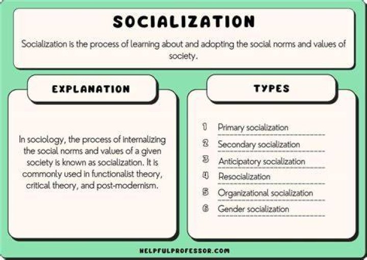 What are the 6 types of socialization?