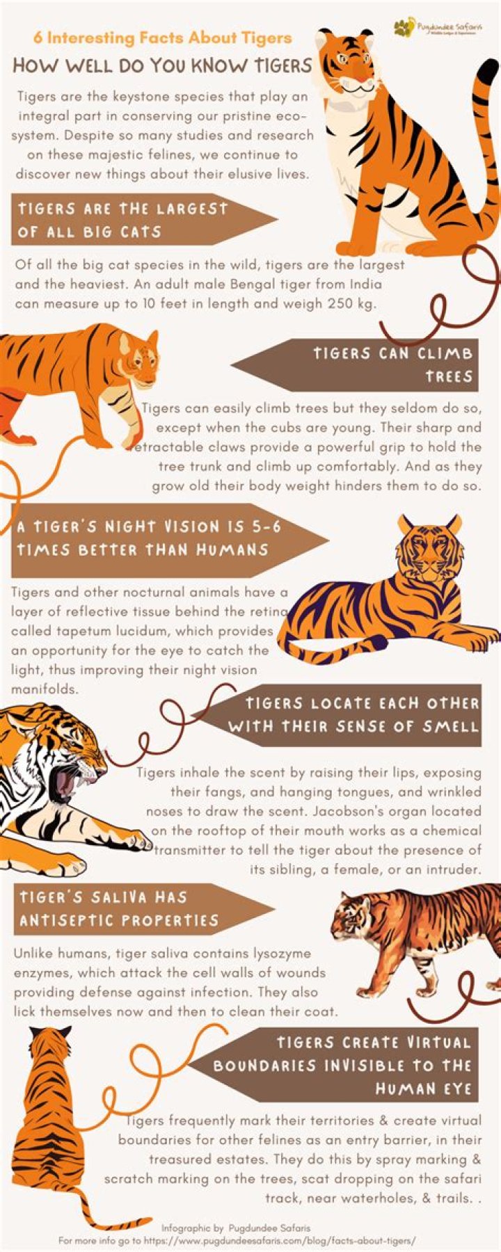 What are tigers weaknesses?