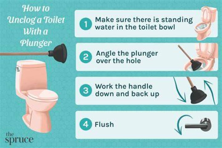 What can I use instead of a plunger?