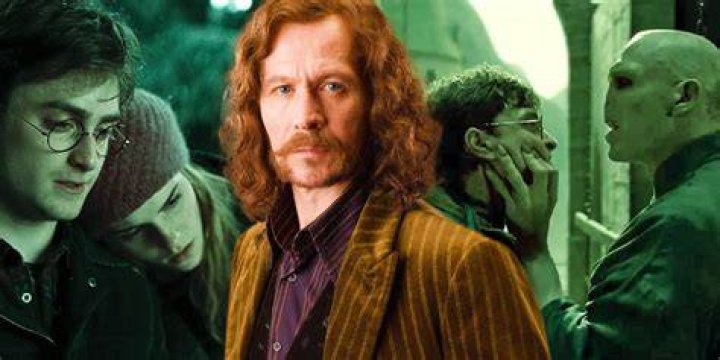 What did Sirius give Ron?