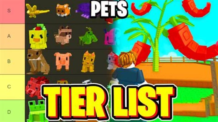 What do pets do in Islands?