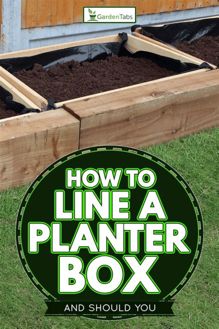 What do you put in a planter box?