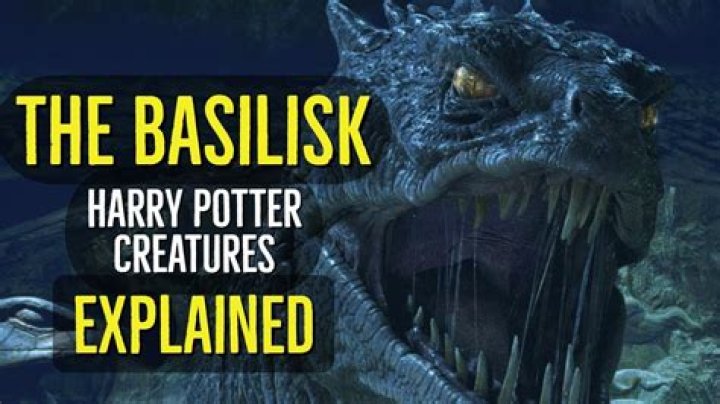 What happens if you look at a Basilisk?