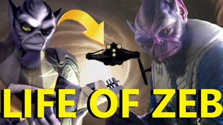 What is a Zeb?