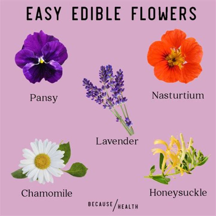 What is edible for humans?