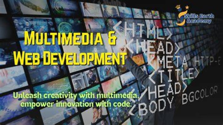 What is multimedia web development?