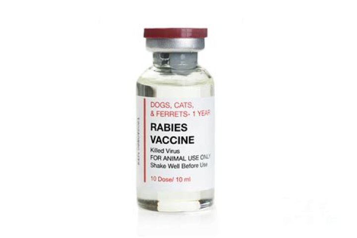 What is the rabies injection called?