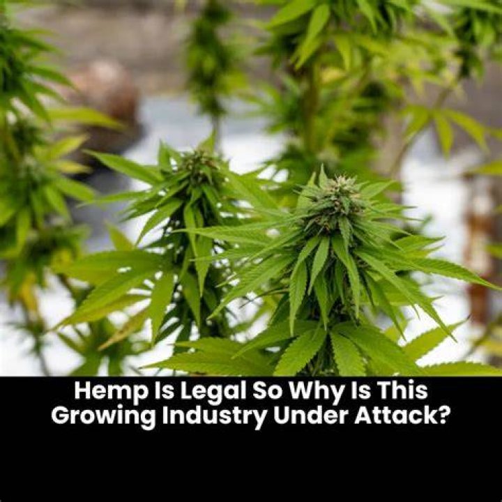 Why is hemp legal?