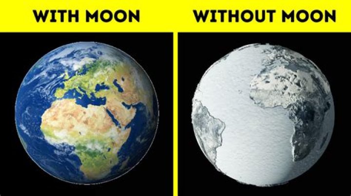 Would the Earth survive without the moon?